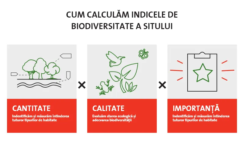 infografic_4.png